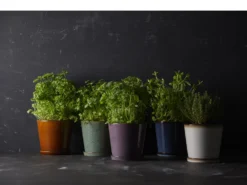 BITZ Übertopf 8 BITZ Übertopf -Geschäft Für Küchenbedarf 11237 env 5 high scaled