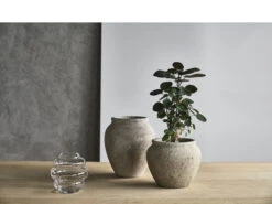 Loev Dekorationsglas -Geschäft Für Küchenbedarf 12442 env 2 2202 high