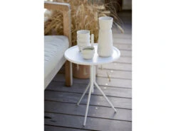 Zone Denmark Inu Tasse -Geschäft Für Küchenbedarf 13772 env 4 high