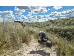 Svale Stuhl 21 Svale Stuhl -Geschäft Für Küchenbedarf 14308 env 4 high scaled