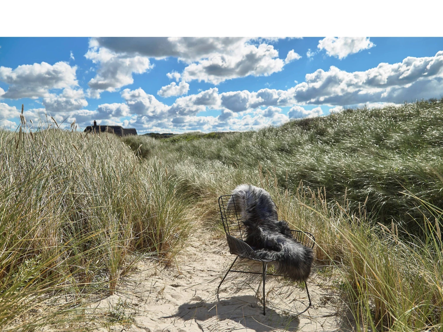 Svale Stuhl 8 Svale Stuhl – Bild 8