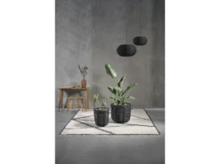 Bodo Schemel -Geschäft Für Küchenbedarf 24085 env 2102 10 high