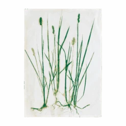 Grass Geschirrtuch