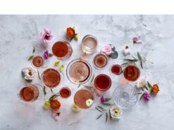 Lyngby Glas Paris Schnappsglas 6 Stck. -Geschäft Für Küchenbedarf 27590 env 1 2301 high