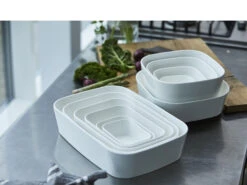 Rosti Modula Feuerfest Form -Geschäft Für Küchenbedarf 864601 env 3 high