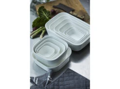 Rosti Modula Feuerfest Form -Geschäft Für Küchenbedarf 864601 env 741 high