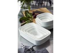 Rosti Modula Feuerfest Form -Geschäft Für Küchenbedarf 864602 env 690 high